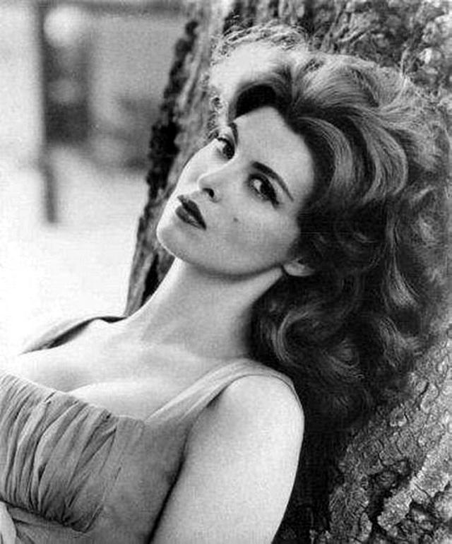 Tina Louise Height, Weight & Body Measurements